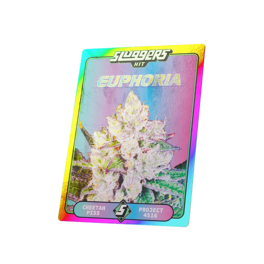 Euphoria Sativa Juiced 5pk - Image 5