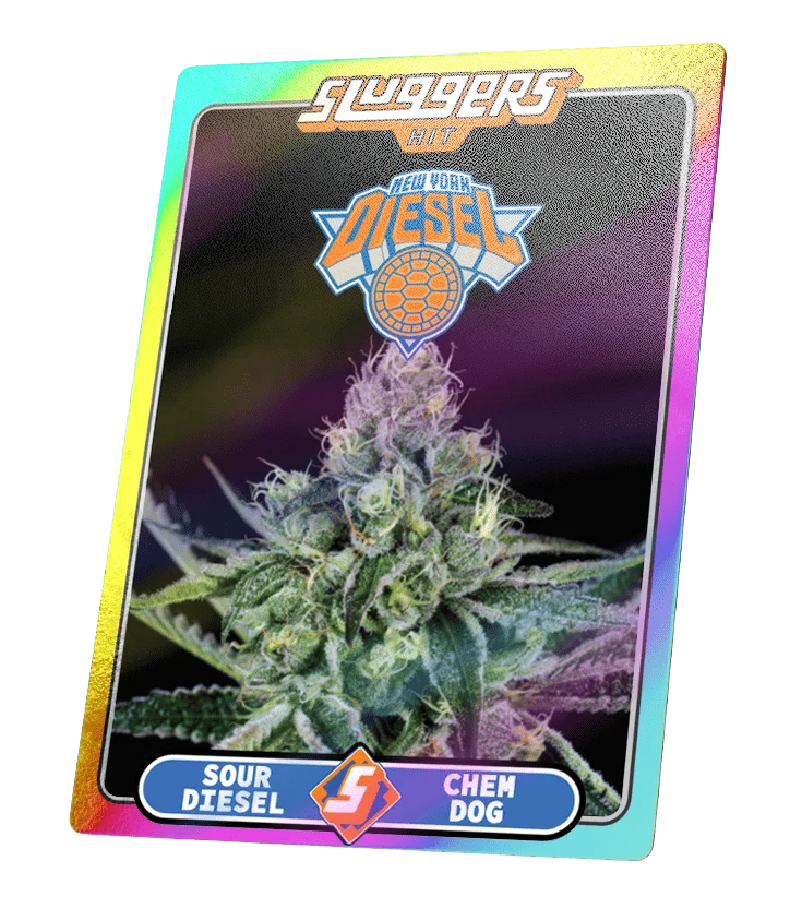 NYC Diesel Sativa Juiced 5pk - Image 5