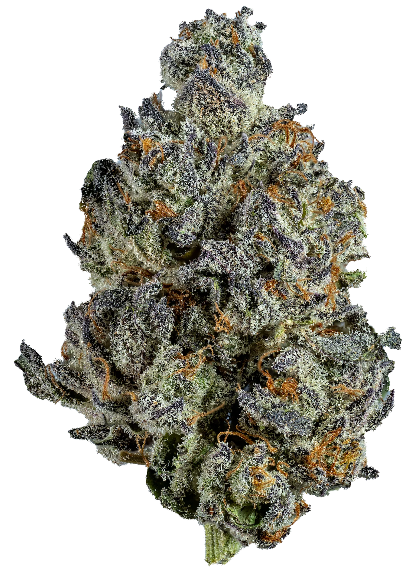 Spritz Queen Peach Sativa Special Edition Flower - Image 3