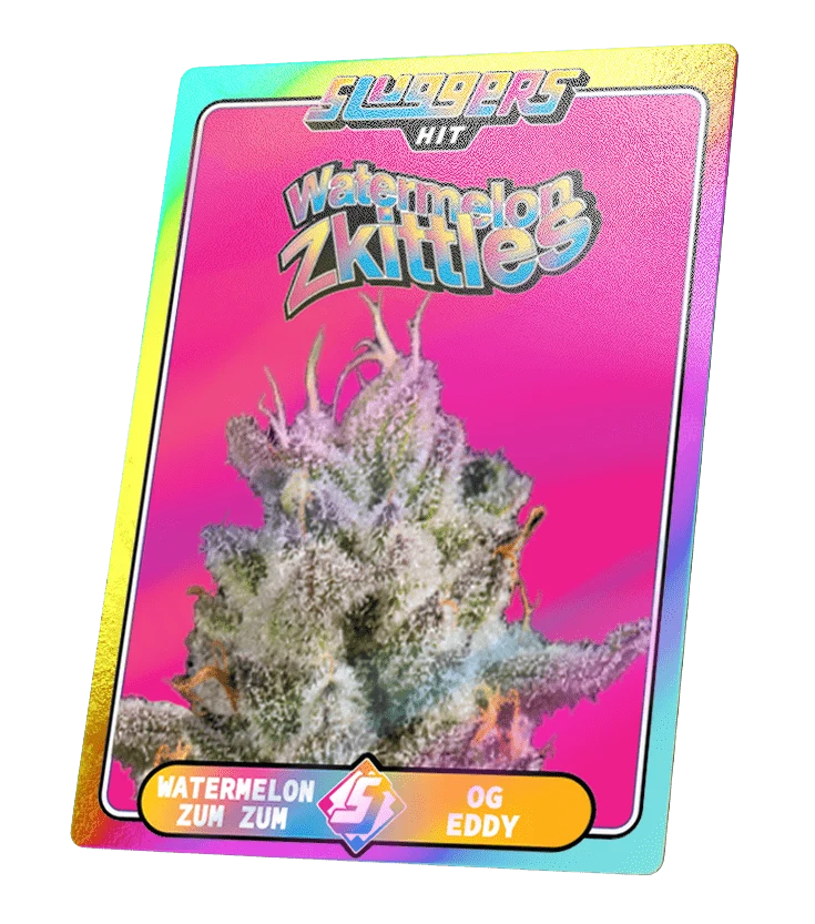 Watermelon Zkittles Hybrid Juiced 5pk - Image 4