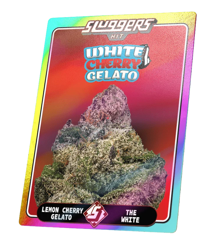 White Cherry Gelato Hybrid Juiced 5pk - Image 4